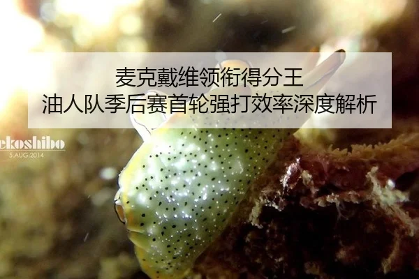 麦克戴维领衔得分王 油人队季后赛首轮强打效率深度解析