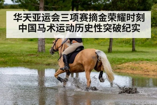 华天亚运会三项赛摘金荣耀时刻中国马术运动历史性突破纪实